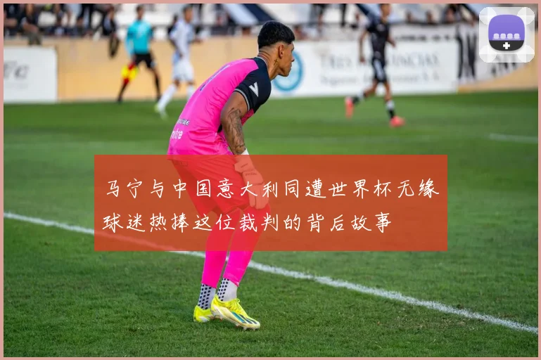 马宁与中国意大利同遭世界杯无缘球迷热捧这位裁判的背后故事